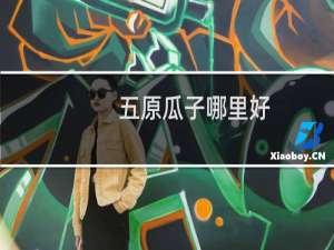 五原瓜子哪里好