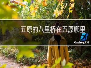 五原的八里桥在五原哪里