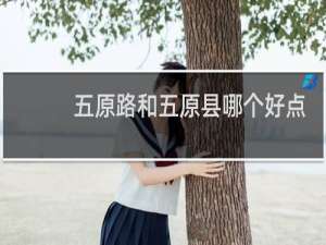五原路和五原县哪个好点