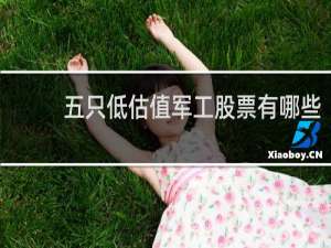 五只低估值军工股票有哪些