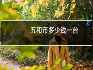 五和币多少钱一台