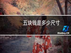 五块钱是多少尺寸