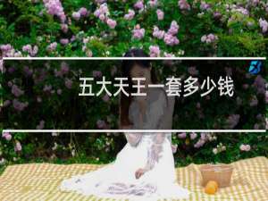 五大天王一套多少钱