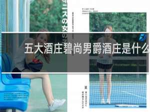 五大酒庄碧尚男爵酒庄是什么