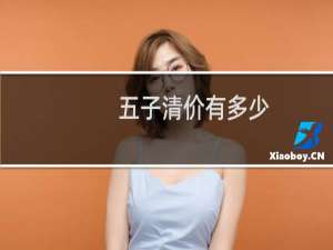 五子清价有多少