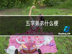 五字弟弟什么梗