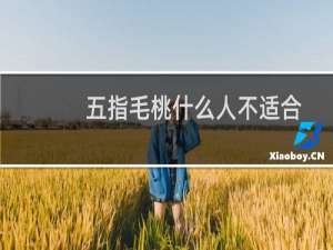 五指毛桃什么人不适合（五指毛桃什么人不能吃）