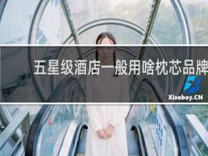 五星级酒店一般用啥枕芯品牌