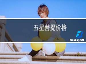 五星菩提价格