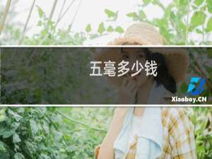 五毫多少钱