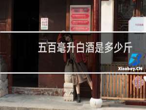 五百毫升白酒是多少斤