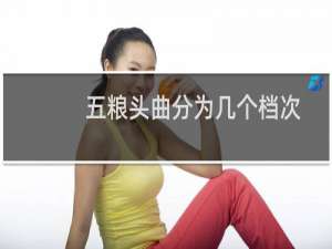 五粮头曲分为几个档次