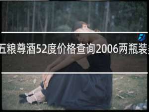 五粮尊酒52度价格查询2006两瓶装多少钱