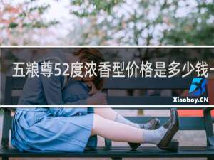 五粮尊52度浓香型价格是多少钱一瓶