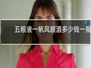 五粮液一帆风顺酒多少钱一瓶