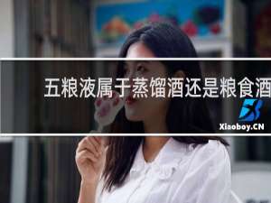 五粮液属于蒸馏酒还是粮食酒