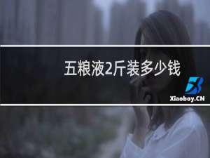 五粮液2斤装多少钱