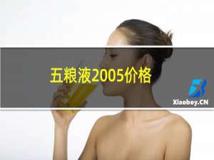 五粮液2005价格