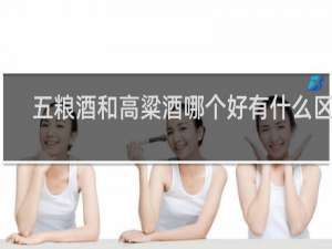 五粮酒和高粱酒哪个好有什么区别