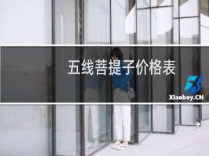 五线菩提子价格表