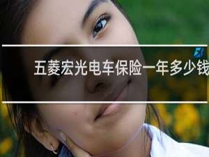 五菱宏光电车保险一年多少钱