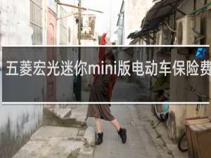 五菱宏光迷你mini版电动车保险费多少