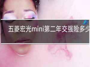 五菱宏光mini第二年交强险多少钱