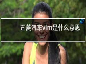 五菱汽车vim是什么意思