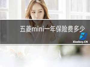 五菱mini一年保险费多少