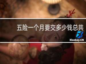 五险一个月要交多少钱总共