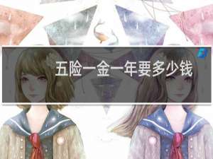 五险一金一年要多少钱