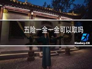 五险一金一金可以取吗