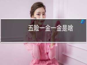 五险一金一金是啥