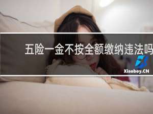 五险一金不按全额缴纳违法吗