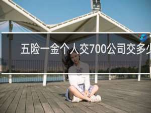 五险一金个人交700公司交多少