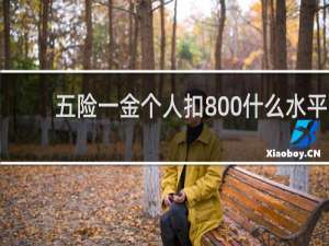 五险一金个人扣800什么水平