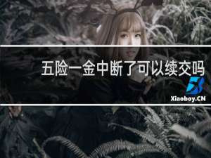 五险一金中断了可以续交吗