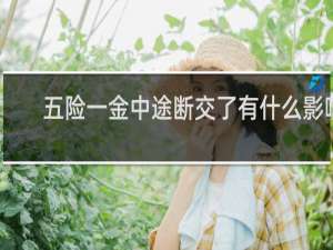 五险一金中途断交了有什么影响