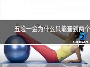 五险一金为什么只能查到两个