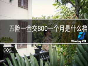 五险一金交800一个月是什么档次