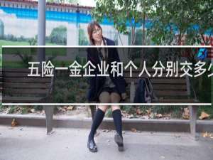 五险一金企业和个人分别交多少