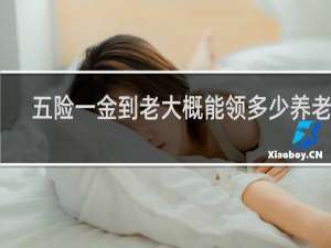 五险一金到老大概能领多少养老金