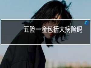 五险一金包括大病险吗