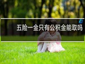 五险一金只有公积金能取吗