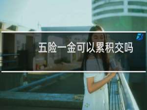 五险一金可以累积交吗