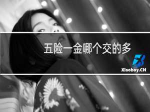 五险一金哪个交的多