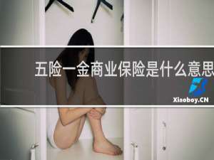 五险一金商业保险是什么意思
