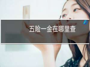 五险一金在哪里查