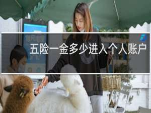 五险一金多少进入个人账户