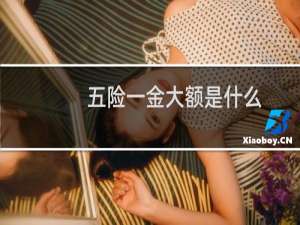 五险一金大额是什么